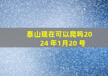 泰山现在可以爬吗2024 年1月20 号